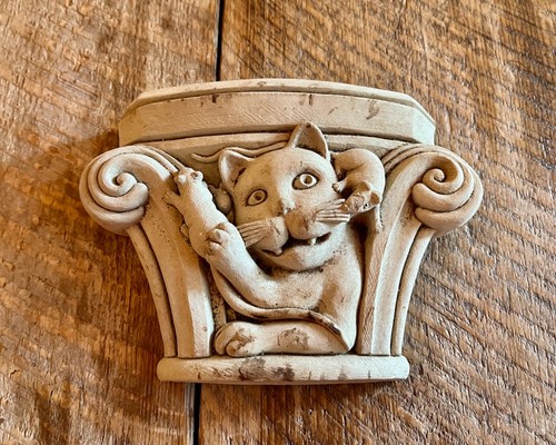 Cat mouse washington - &,